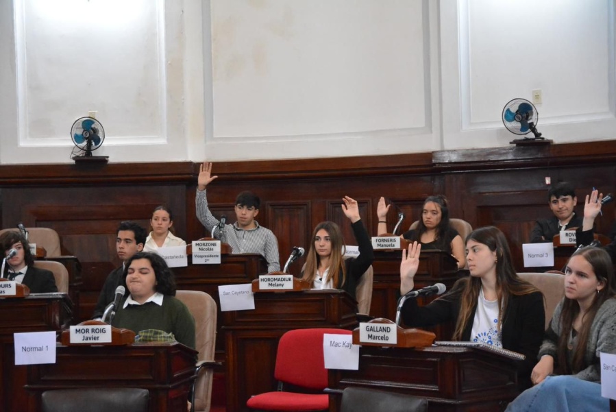 Jóvenes platenses impulsan proyecto de inclusión en el Concejo Deliberante