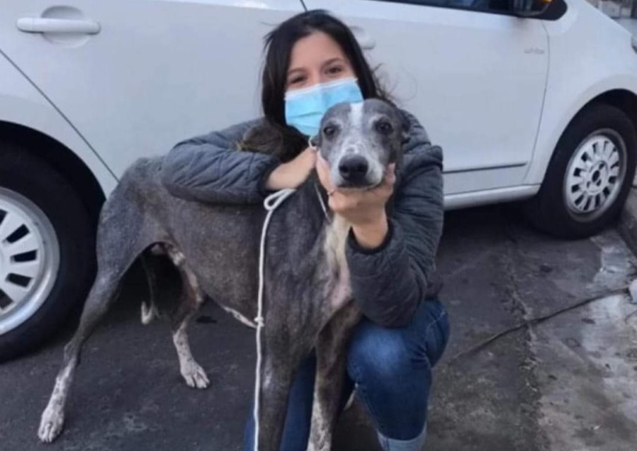 Es rescatista de animales y con esfuerzo puso un emprendimiento para sustentarse de traslado de mascotas