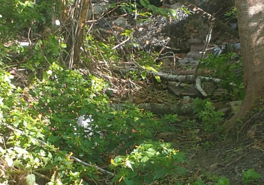 Un barrio platense se encuentran preocupados por el mal estado de los desagües