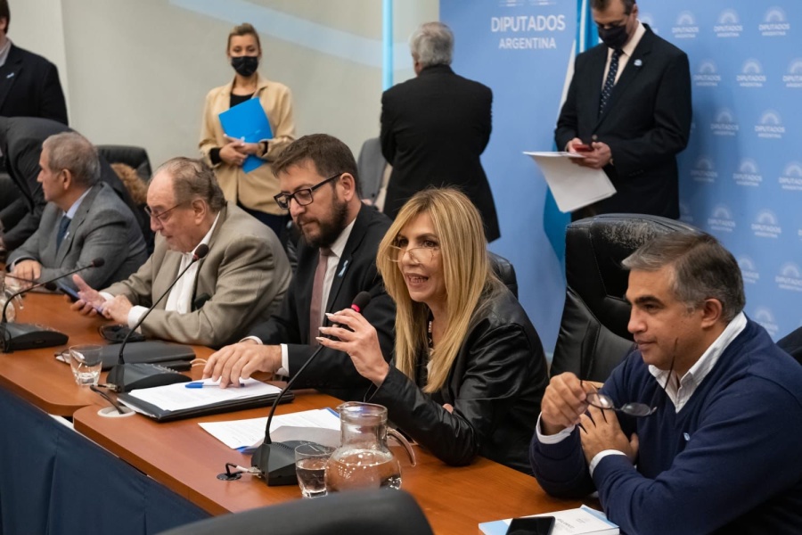 Patricia García Blanco rechazó la implementación de la Boleta Única: ”Exige un debate profundo”