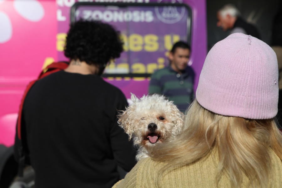 Llega una nueva jornada de vacunación antirrábica gratuita a la plaza Belgrano