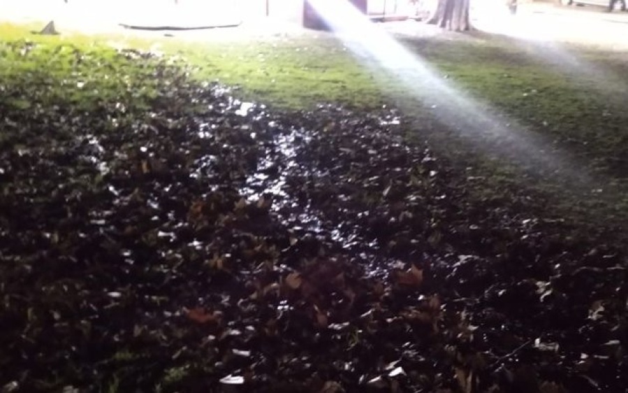 En la zona de 13 y 40 los vecinos piden que se repare una pérdida de agua que está ”hace varios días”