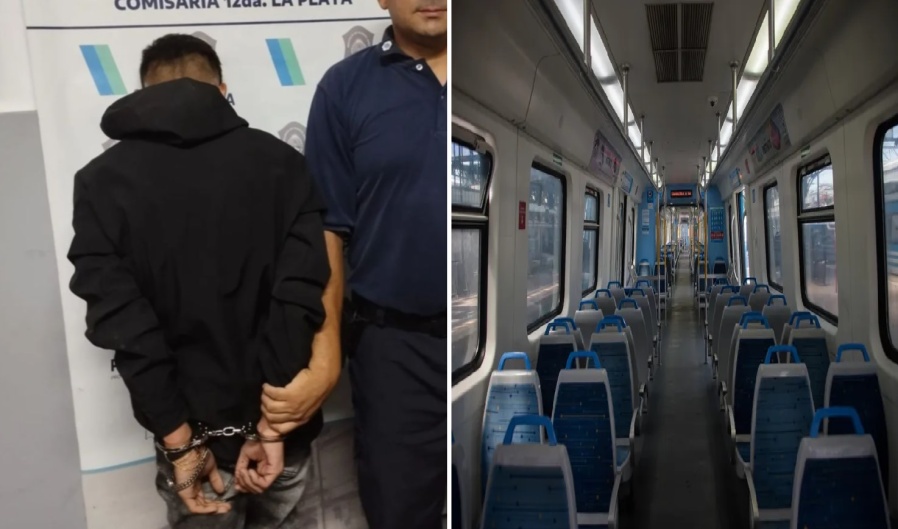 Iba en el tren Roca a la altura de Villa Elisa, quiso abusar de una menor y los pasajeros le terminaron pegando