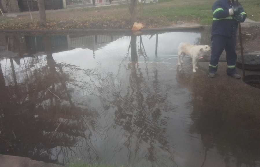 Vecinos de 57 y 140 piden que destapen de forma ”urgente” las bocas de tormenta