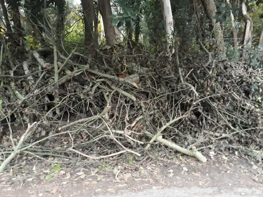 En calle Las Mellizas de Villa Elisa reclamaron que el municipio recoja ramas acumuladas
