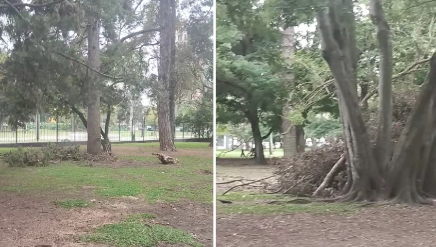 Vecinos se quejaron por las ramas de árboles amontonadas en Parque Saavedra