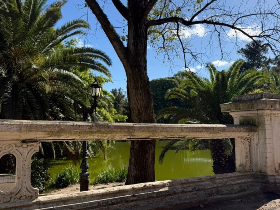 Vecinos reclaman por el mal estado del lago del bosque