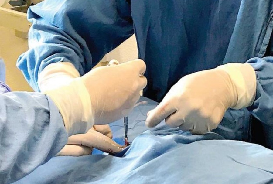 El drama de querer cuidarse: se quiere ligar las trompas, pero asegura que los hospitales platenses le dan ”mil vueltas”