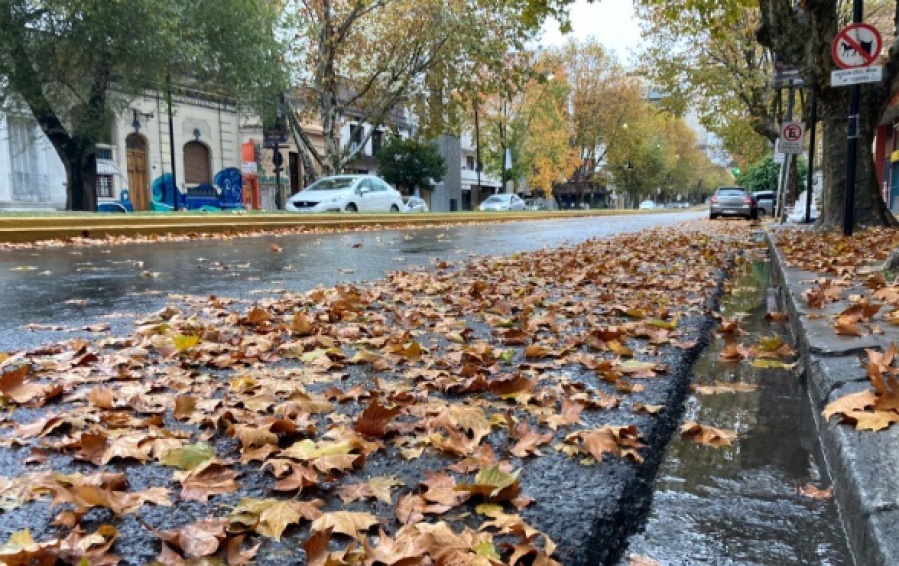 ”Seguimos en la misma”: Malestar entre los vecinos del casco platense por la falta de barrido