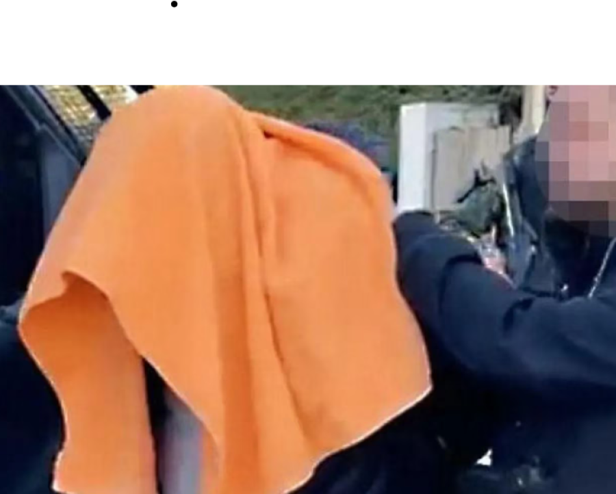 Asesino a su madre y prendió fuego la casa: se justificó diciendo que quería abusar de él