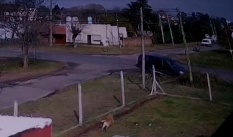 Vecinos de Los Hornos piden “con urgencia” una loma de burro: “Vive habiendo accidentes”