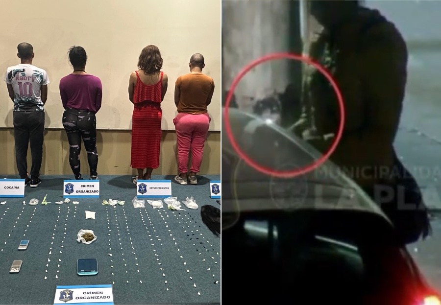 Cayó una banda dedicada a la venta de droga en la Zona Roja de La Plata: secuestraron cocaína, dinero y hasta una peluca