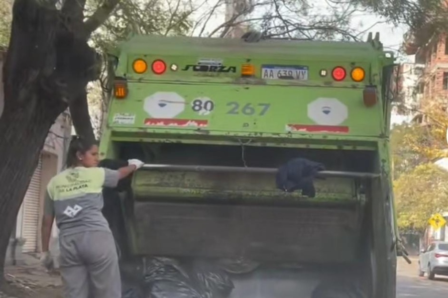 Un platense vio a dos mujeres haciendo un trabajo de ”hombres” en pleno centro y quedó maravillado: ”Lo hacen más...”