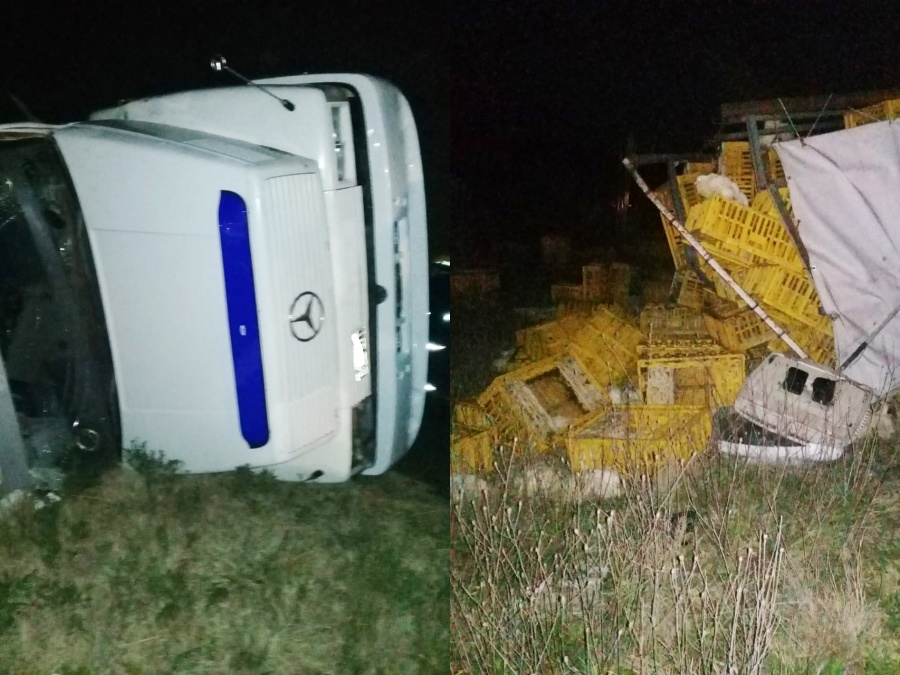 Pollos sueltos en La Plata: un camión avícola volcó y los animales se escaparon