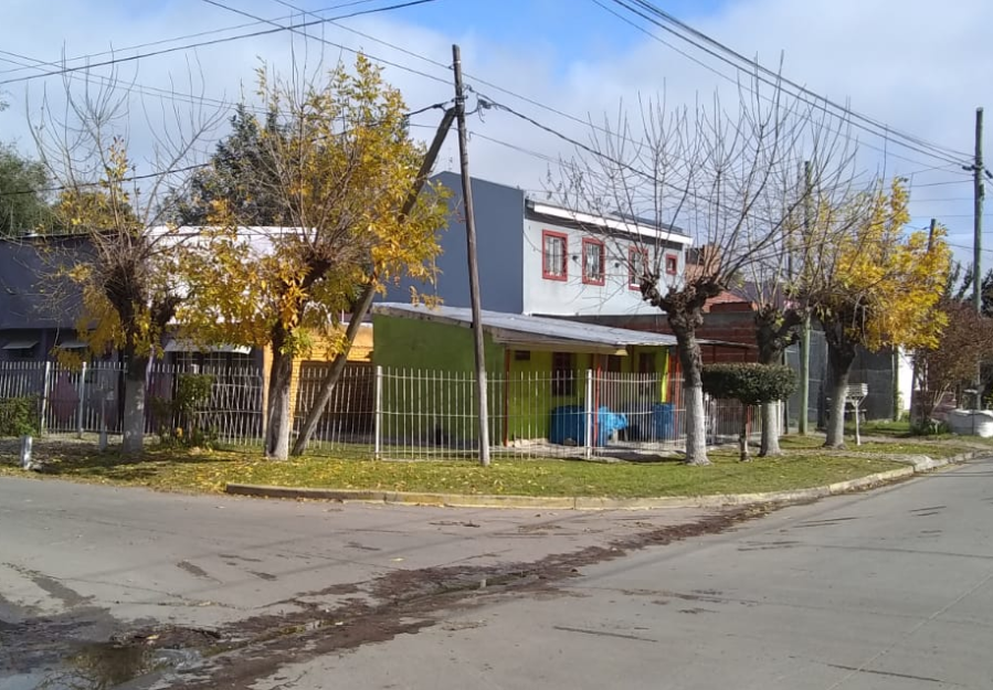 Una vecina de City Bell estalló por seis árboles que tocan los cables de electricidad: ”Nunca vinieron”