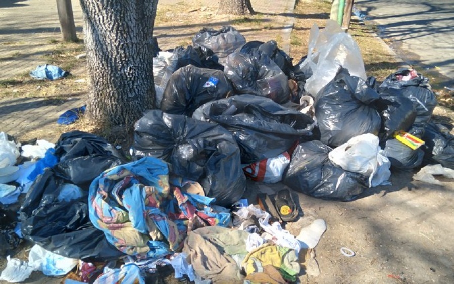 Vecinos de Los Hornos reclaman por un basural a cielo abierto