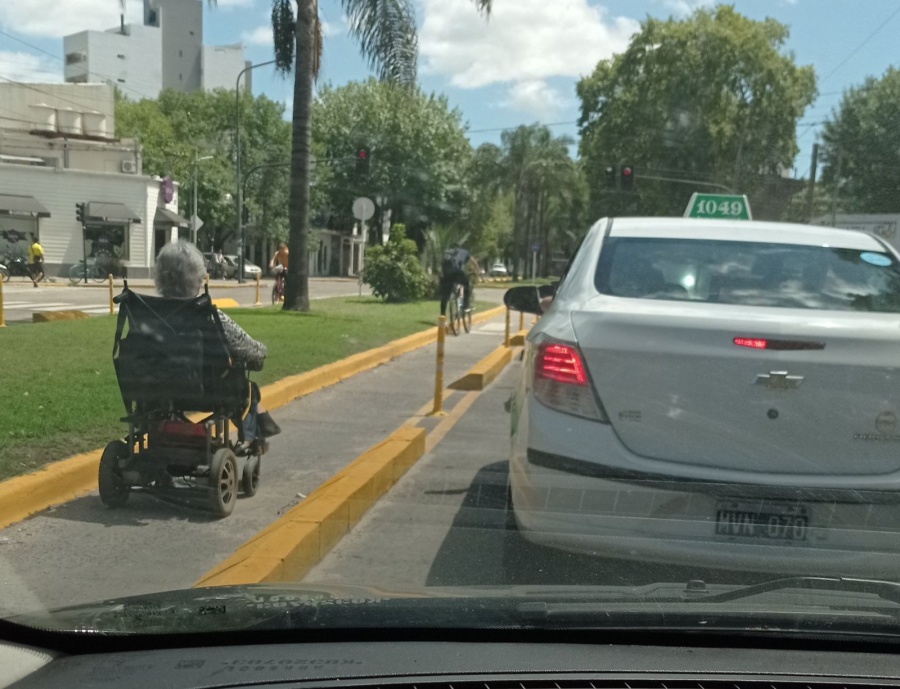 ”Todo muy normal en La Plata”: La imagen que recorre las redes