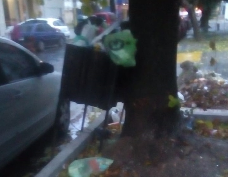 Un vecino de La Plata, enojado por el amontonamiento de basura en 12 y 45: ”Estalla de mugre”