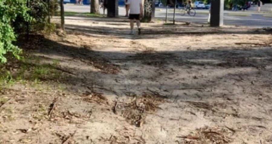 Aseguran que las veredas del Hospital San Martín están ”detonadas”