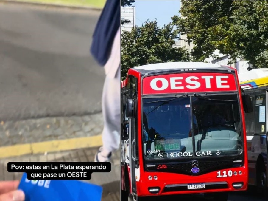 El video de 3 adolescentes esperando el micro en La Plata que abrió el debate en redes: “Es el peor enemigo”