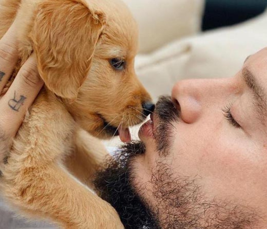 J Balvin y Tokischa lanzan ”Perra”