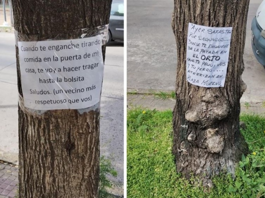 Amenazas pegadas en los árboles de un barrio de La Plata generó risas y debate en redes sociales