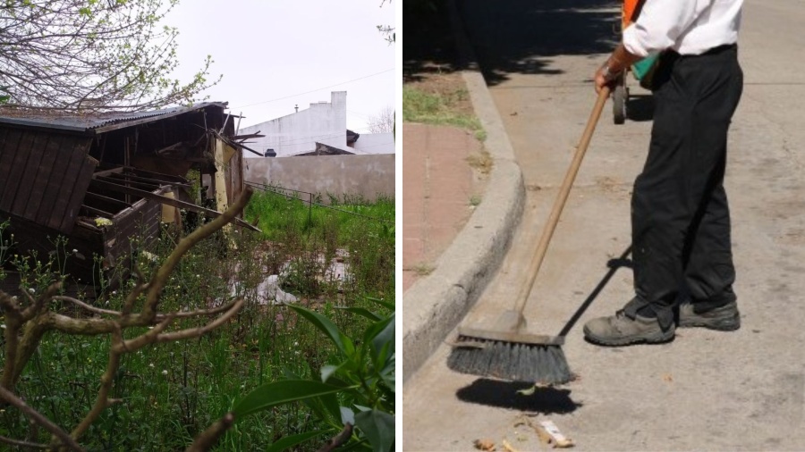 La historia detrás de la casa de abandonada de Los Hornos: El barrendero de la cuadra que vivía entre la basura