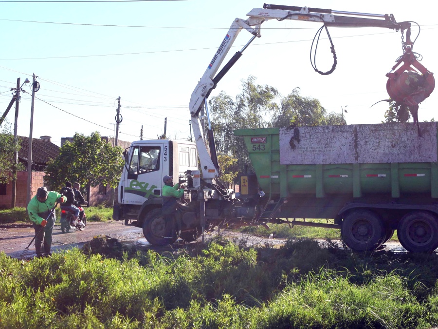 Más de 80 operarios y 9 camiones de carga: llevan a cabo un operativo integral de limpieza y mantenimiento en Barrio Malvinas