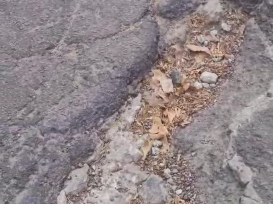 Vecinos de La Plata denuncian por pozos y baches en las calles: “Es un peligro para todos”