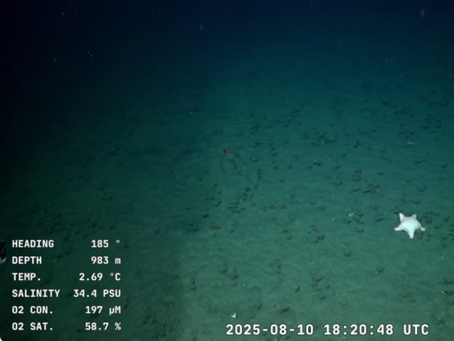 Se despidió la transmisión del CONICET : finalizó tras 3 semanas de inmersión