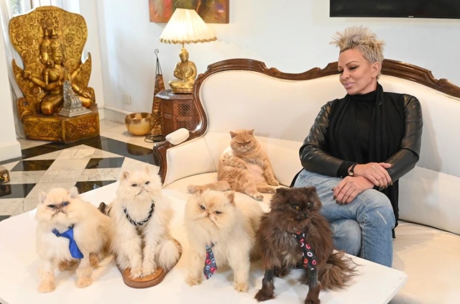 Daniela Cardone donará a sus seis gatos embalsamados y tomará una inesperada decisión: el destino final que eligió