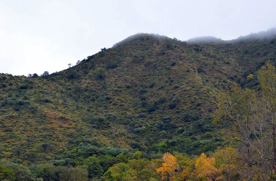 Es de La Plata, asegura que vio un ovni en Córdoba cuando tenía diez años, lo cuenta y nadie le cree: ”Me tratan de loco”