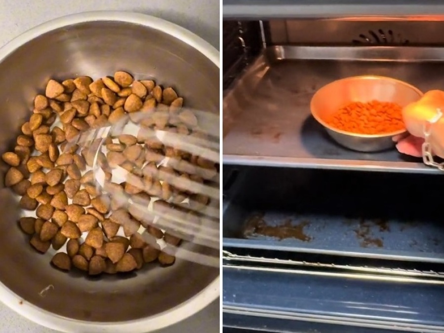 Le hizo creer a su perra que le estaba cocinando y la reacción se volvió viral