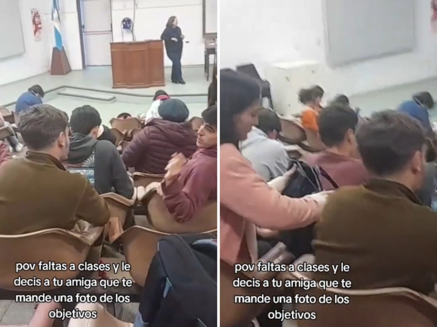 ”Mandame una foto de los objetivos”: lo que hizo su amiga en la Facultad de Veterinaria de La Plata es digno de aplauso