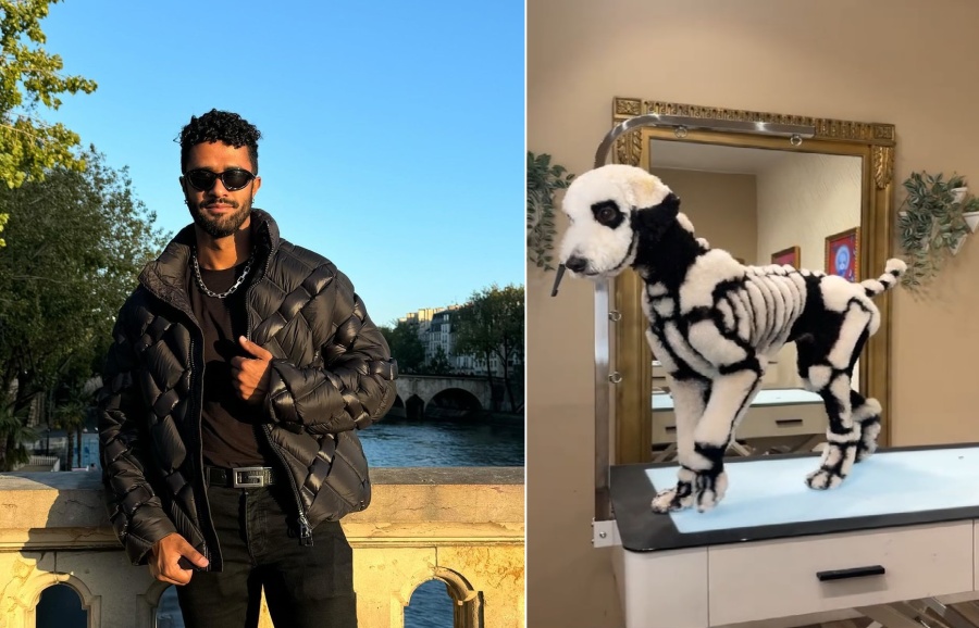 Tiñó a su perro de esqueleto para Halloween y se armó la polémica: ”Maldad pura”