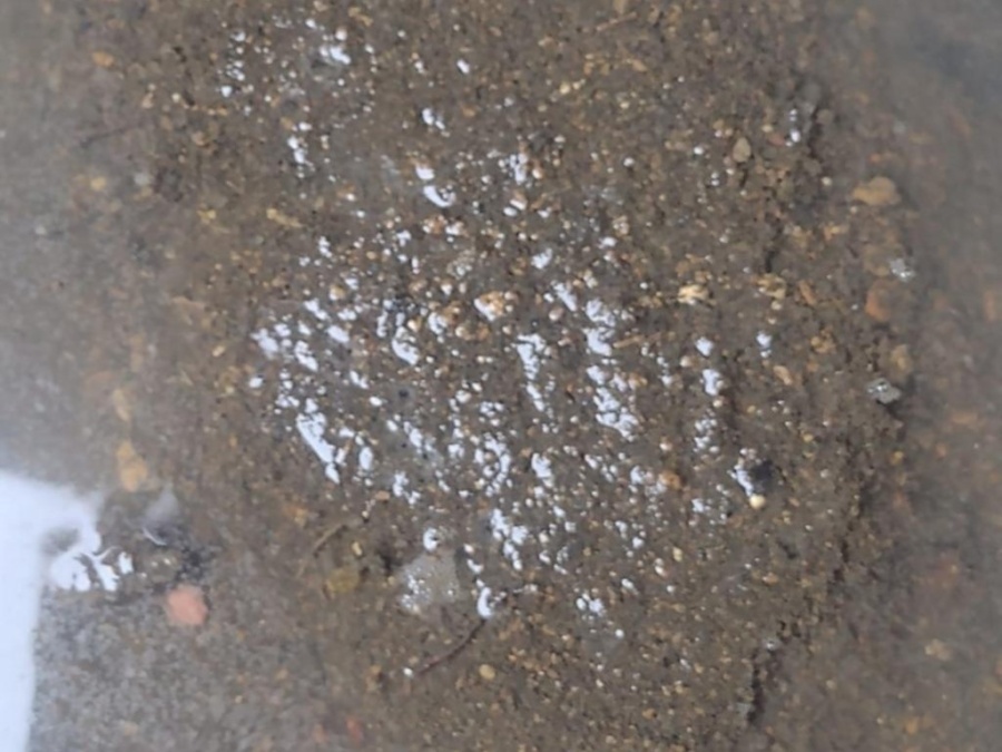 Crecen los reclamos por el estado de las cloacas en Altos de San Lorenzo: ”Salen de las rejillas hace un mes”