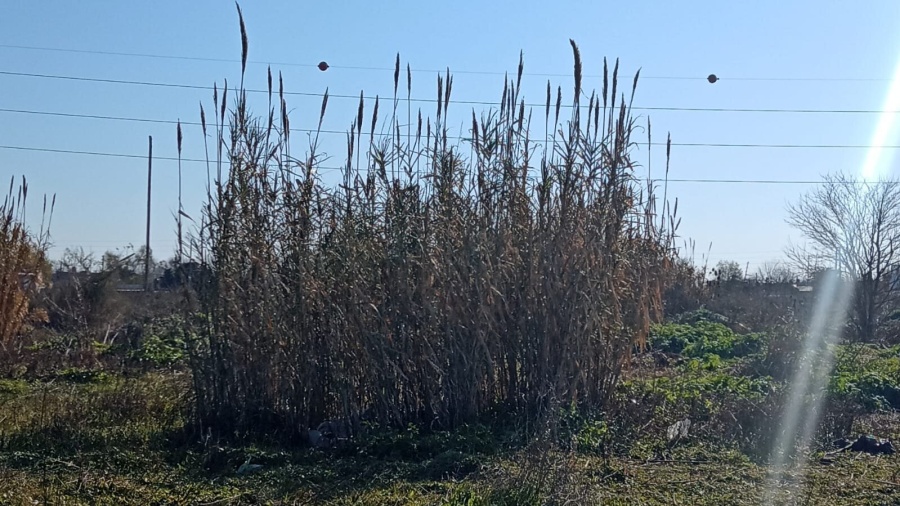 Murió un hombre en situación de calle en La Plata y habría sido por hipotermia