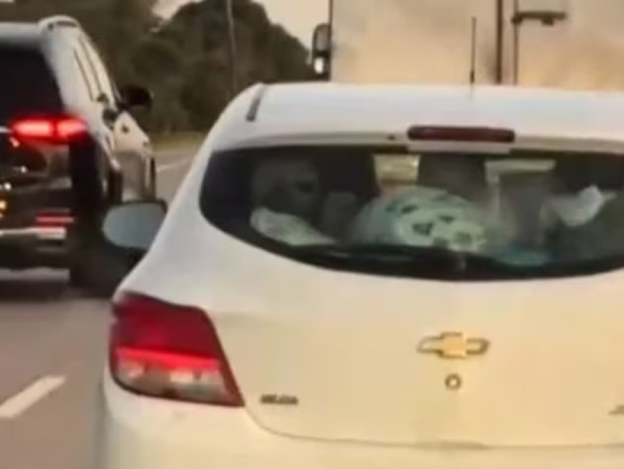 La reacción de una conductora que estuvo más de una hora detrás de un camión en la ruta por miedo a pasarlo