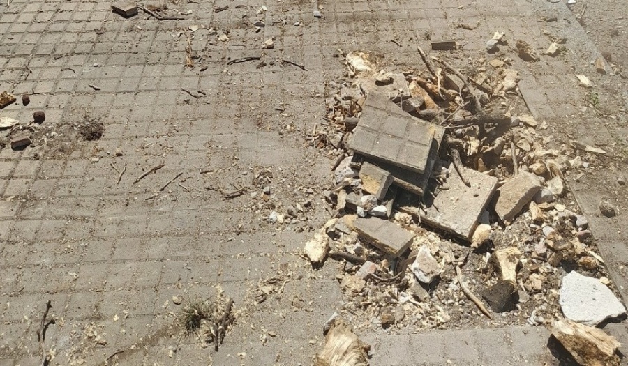 Mal estado de las veredas y restos de árboles: la molestia de los vecinos de 6 y 45