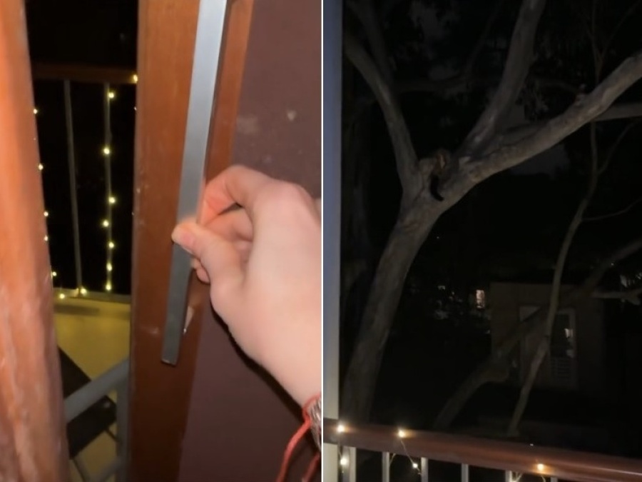 Grabó una escena inquietante desde su casa en Australia y reveló lo que más le da miedo de noche