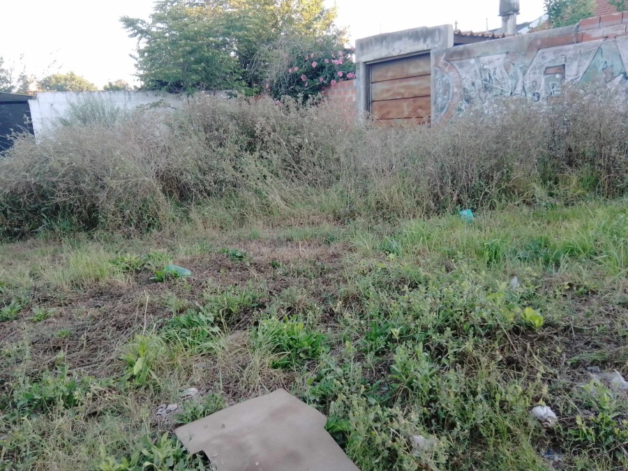 Vecinos reclaman un corte de pasto en una cuadra de Villa Elvira