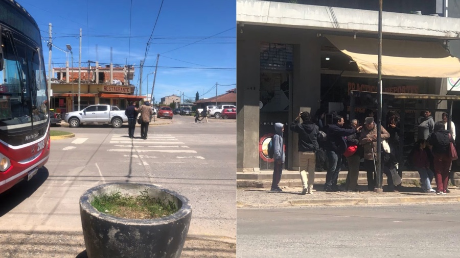 Gesto de solidaridad: Un chofer de la línea Oeste ayudó a un pasajero ciego a cruzar la calle en La Plata