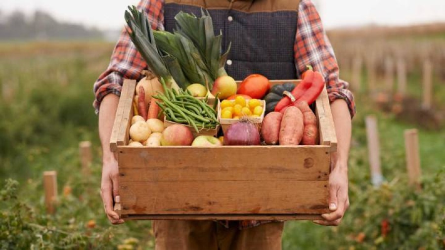 Según un informe de la Universidad de Oxford, las dietas veganas tienen un mayor impacto positivo para el medio ambiente