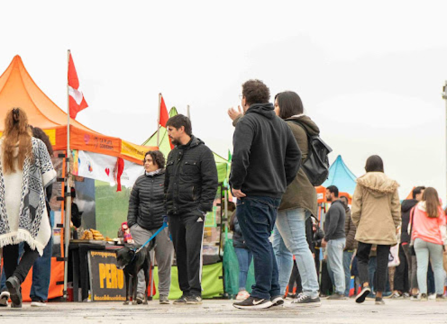 La Municipalidad de La Plata realizará un nuevo Fan Fest: comidas típicas y pantalla gigante en Plaza Moreno