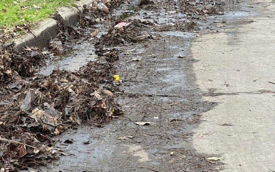 En una zona de La Plata se acumuló barro, basura y hojas en plena calle y piden una solución