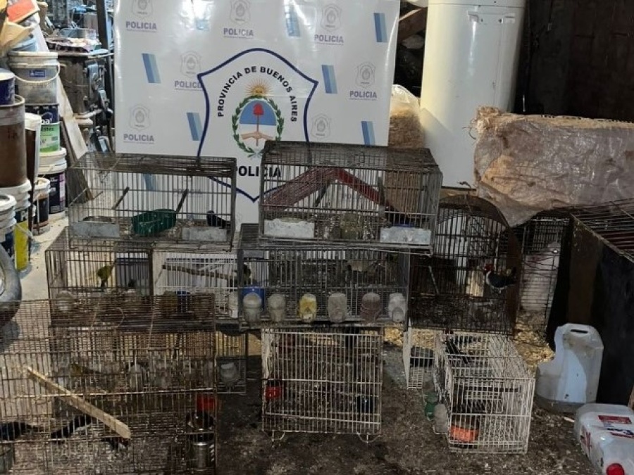 Detienen a un hombre por maltrato animal y tener ilegalmente 20 aves exóticas en su domicilio de La Plata