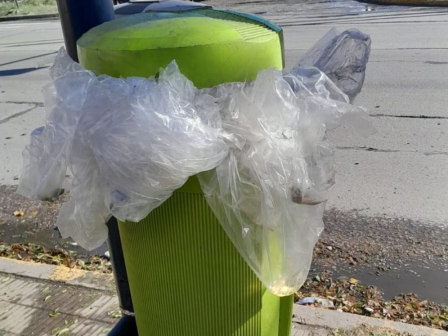 Los tachos estallaron de basura en una cuadra de Tolosa y los vecinos se hartaron