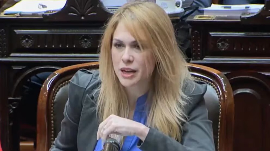 Lilia Lemoine apuntó contra Villarruel y dijo que no cumple su rol como corresponde