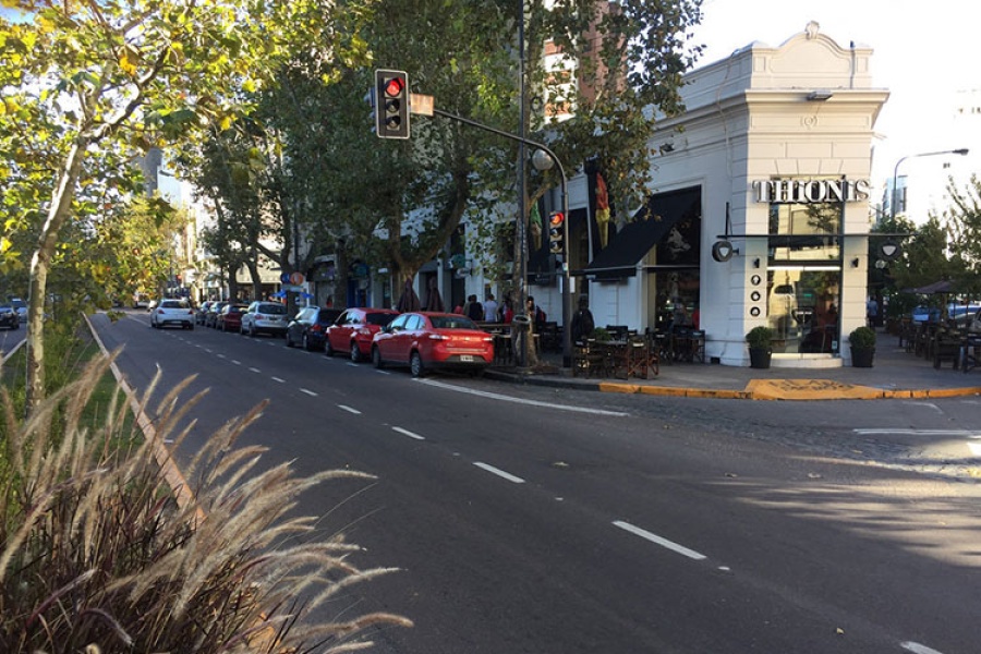 Detuvieron a dos delincuentes por intento de robo y ataque a una pareja en el centro de La Plata
