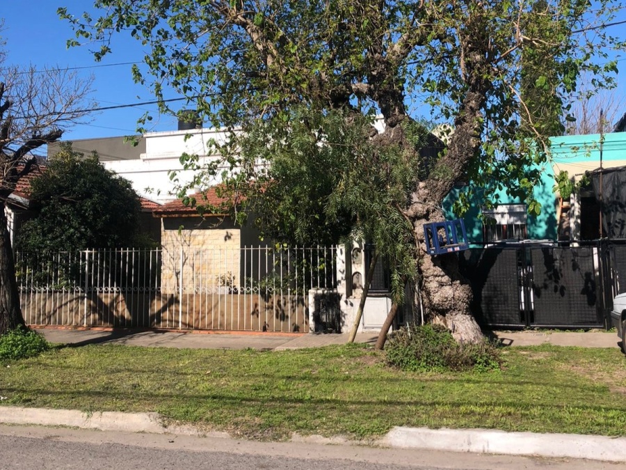 “Puede caer en el medidor de gas y explotar”: El reclamo de una jubilada por el riesgo de un árbol a punto de desplomarse